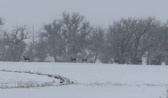 TBD County Road 170, Agate, CO 80101