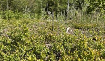 Route 9 lot 13, Aurora, ME 04428