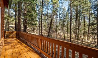 14 County Road 2067, Alpine, AZ 85920