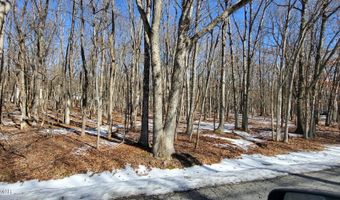 Mohawk Trail, Albrightsville, PA 18210