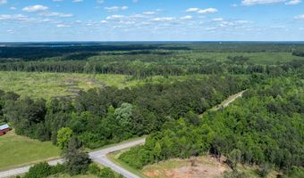 Lot 3a Elberton Highway, Lincolnton, GA 30817