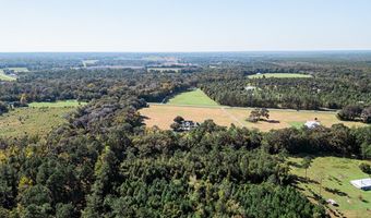 TBD State Rd 121, Alachua, FL 32615