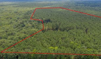 1 Highway 157, Benton, LA 71006