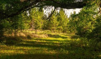 0 Flowers Rd, Bay Minette, AL 36507