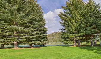 593 Meadowood Dr, Aspen, CO 81611