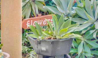 1004 N Honokala Rd B, Haiku, HI 96708