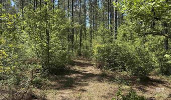 Ronald Sanks Road, Bay Minette, AL 36507