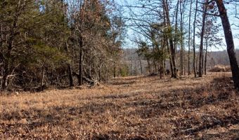 3968 Highway 167, Ash Flat, AR 72513