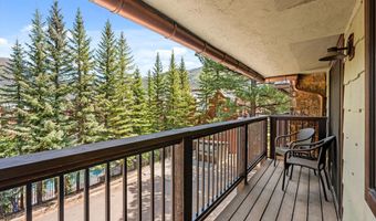650 S Monarch Street 7, Aspen, CO 81611