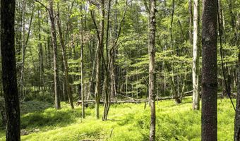 154 Lang Rd, Accord, NY 12404