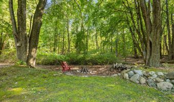 1290 Cramton Ave NE, Ada, MI 49301