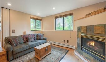 114 Park Forest Dr, Breckenridge, CO 80424