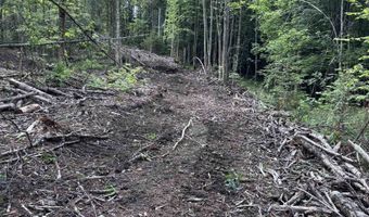 Davis Acres Road, Brookfield, VT 05060