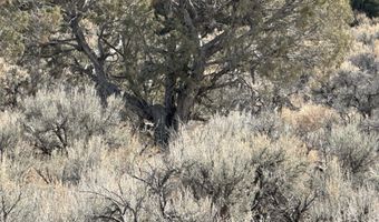 County Road 2550, Aztec, NM 87410
