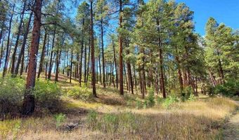 282 Pine Ln, Bayfield, CO 81122