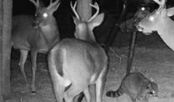 00 Pinola Braxton Rd, Braxton, MS 39044
