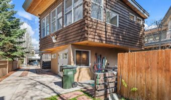 308 Park Ave, Aspen, CO 81611