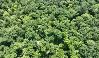 Denio Road, Barnet, VT 05821