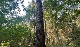 Tbd FM 44 E, De Kalb, TX 75559