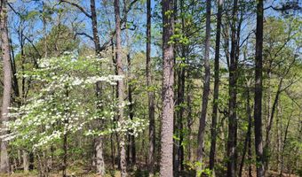 300 Mount Springs Rd, Batesville, AR 72501