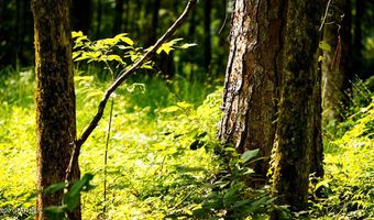 Cypress Pointe Drive lot 18, Brooksville, MS 39739