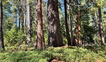 3229 Ponderosa Rd, Arnold, CA 95223