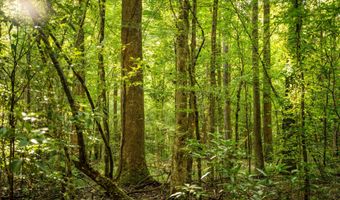 3024 Us-84, Brookhaven, MS 39601