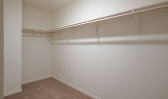 10539 Lesser Snow, Adkins, TX 78101