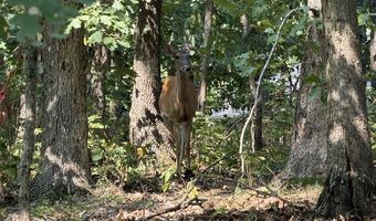 11 Dickenshire Cir Lot 11, Bella Vista, AR 72714
