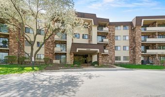 3350 N Carriageway Dr 217, Arlington Heights, IL 60004