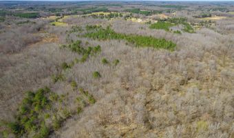 196 Pierce Rd, Beech Bluff, TN 38313