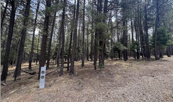 Calle de las Palomas lot 880, Angel Fire, NM 87710