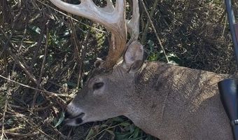 2363 Fugates Rd, Bentonia, MS 39040