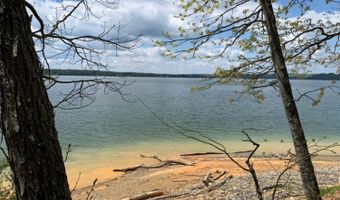 509 Bonne Vista Dr, Baneberry, TN 37890