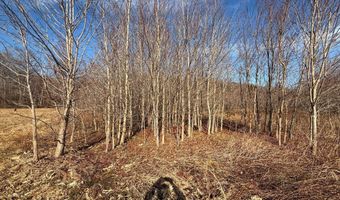 BLACK SWAMP ROAD, Felton, DE 19943