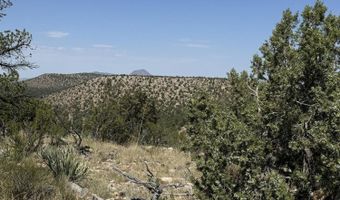 109 Of Twin Fawn Ln, Ash Fork, AZ 86320