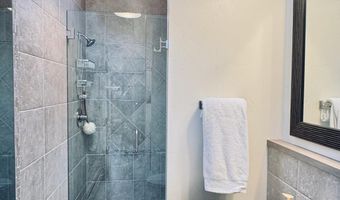 302 Roaring Fork Dr, Aspen, CO 81611