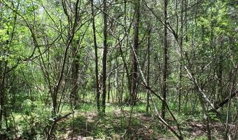 5 E 1909 Rd, Antlers, OK 74523