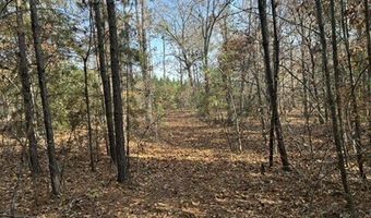 2423 Mill Creek Rd, Bethune, SC 29009