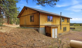 28 County Road 2310, Alpine, AZ 85920