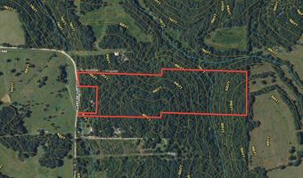 County Road 544, Bakersfield, MO 65609