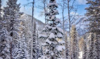 9380 E Kessler View Ln, Brighton, UT 84121