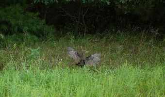 Lot 27 10th Avenue, Adams, WI 53910