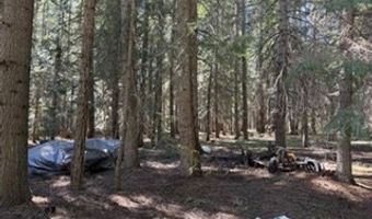 1251 CANYON Rd, Appleton, WA 98602