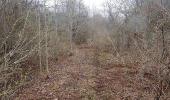 County Route 16, Angelica, NY 14709