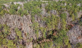 15045 LOCK 17 Rd Lot 1, Adger, AL 35006
