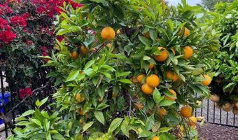 2070 Tiffany Dr, Oceanside, CA 92056