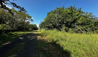 15-2005 2ND Ave Lot #: 8862, Keaau, HI 96749