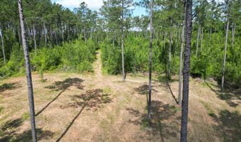 8450 Robinsonville Rd, Atmore, AL 36502