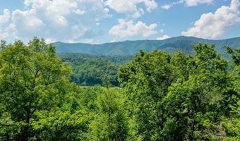 52 Bear Track Rd, Andrews, NC 28901